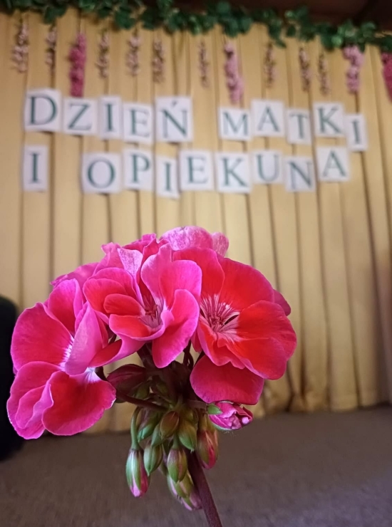 Dzień Matki i Opiekuna